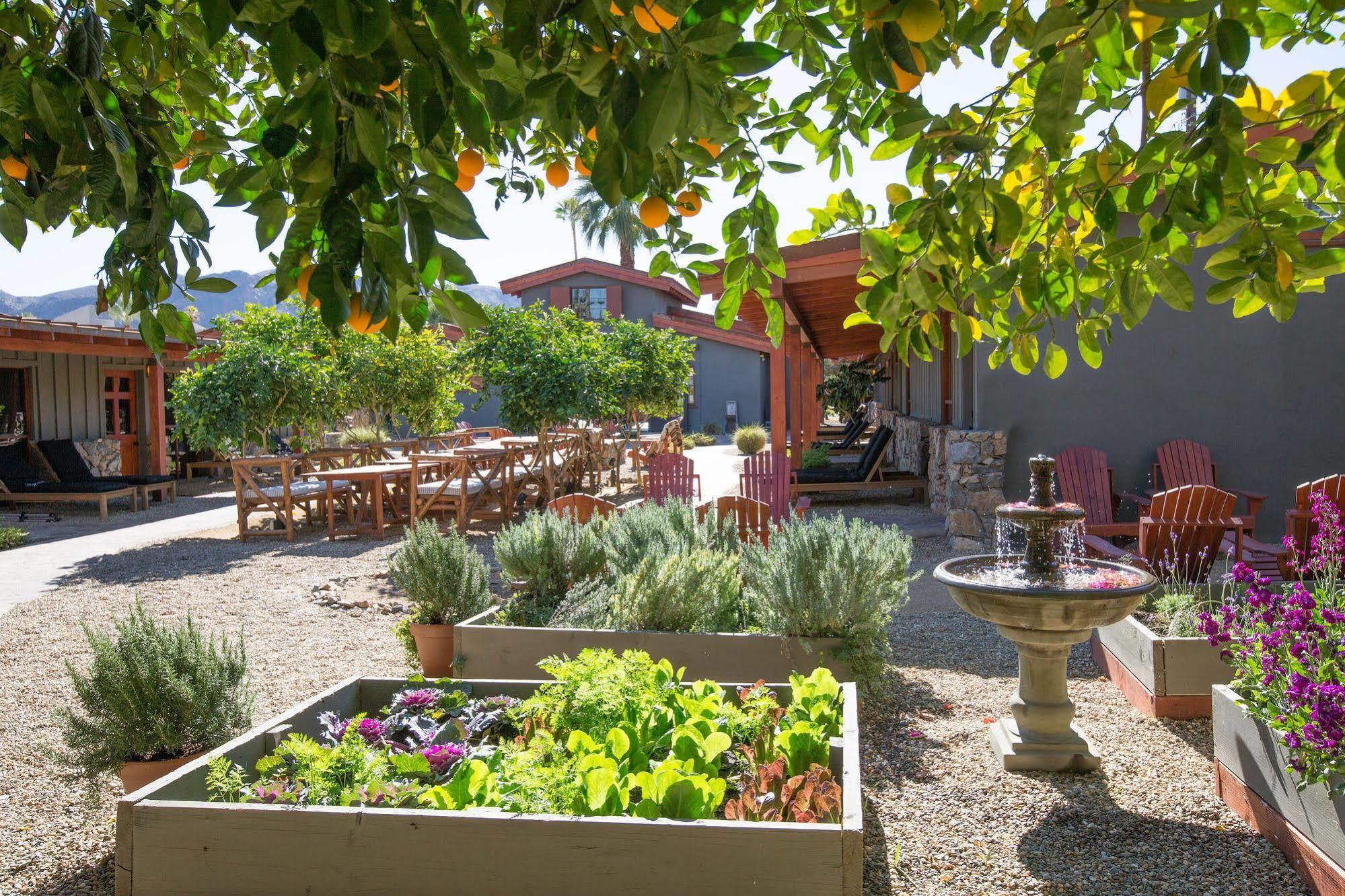 Sparrows Lodge Palm Springs Exterior foto